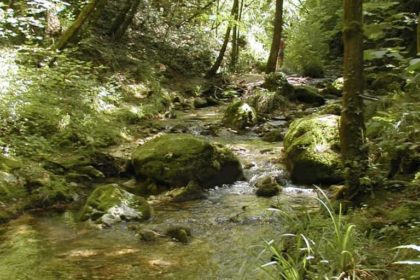 Parco nazionale della Maiella - Natura