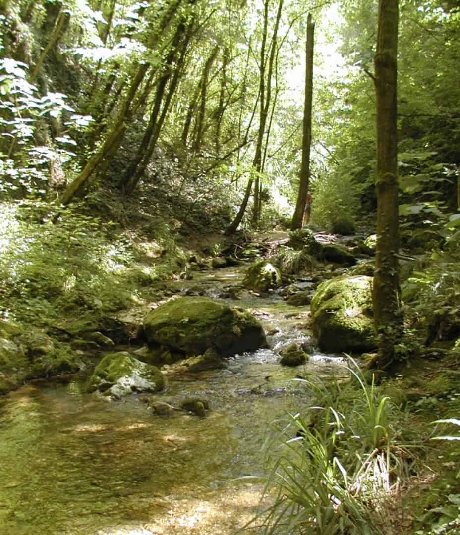 Parco nazionale della Maiella - Natura