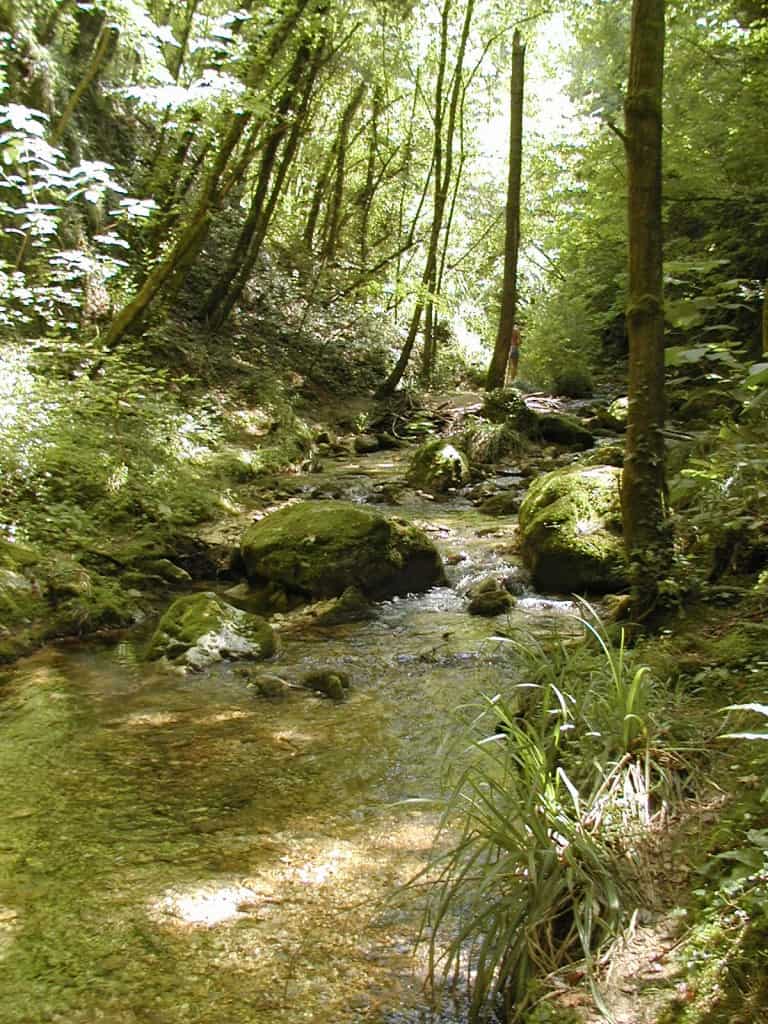 Parco nazionale della Maiella - Natura