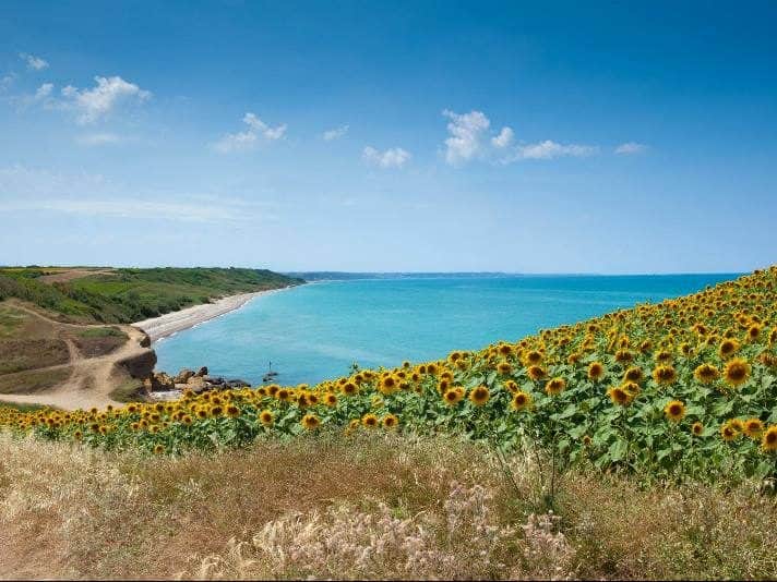 LA RISERVA NATURALE E IL BRODETTO – TOUR